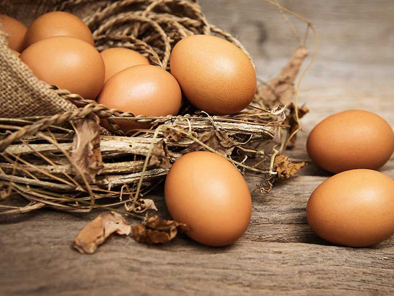 آلرژی به تخم مرغ